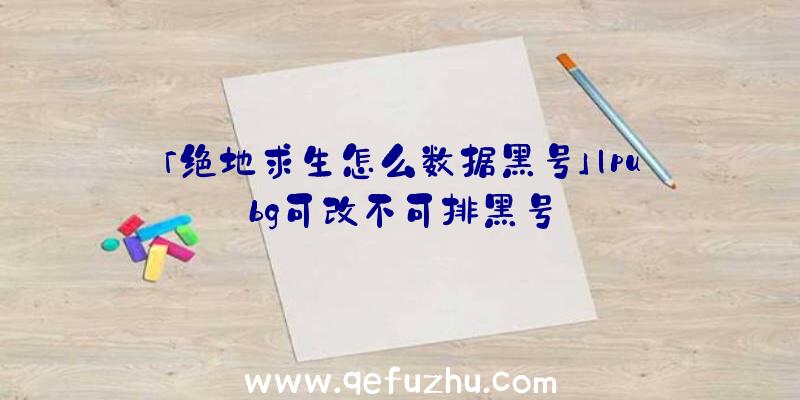 「绝地求生怎么数据黑号」|pubg可改不可排黑号